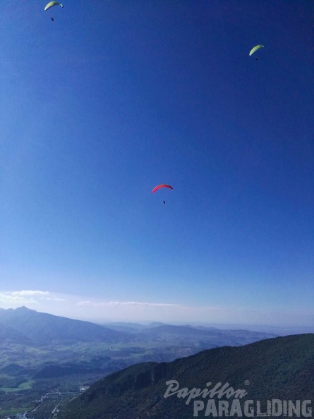 FA101.17 Algodonales-Paragliding-289