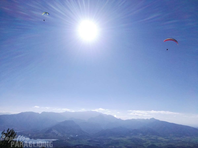 FA101.17 Algodonales-Paragliding-311