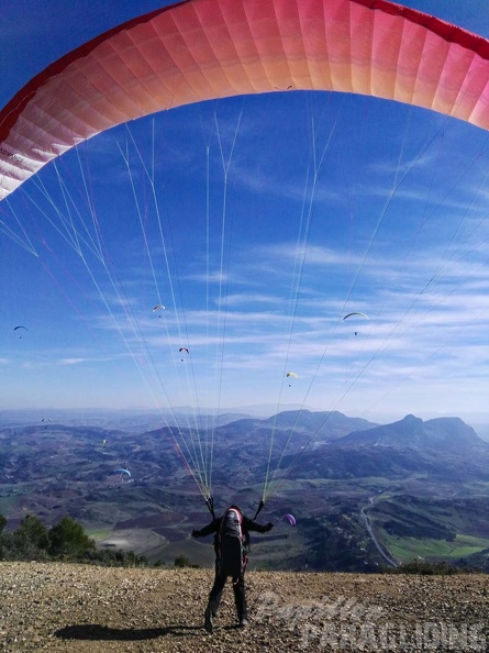 FA101.17 Algodonales-Paragliding-355