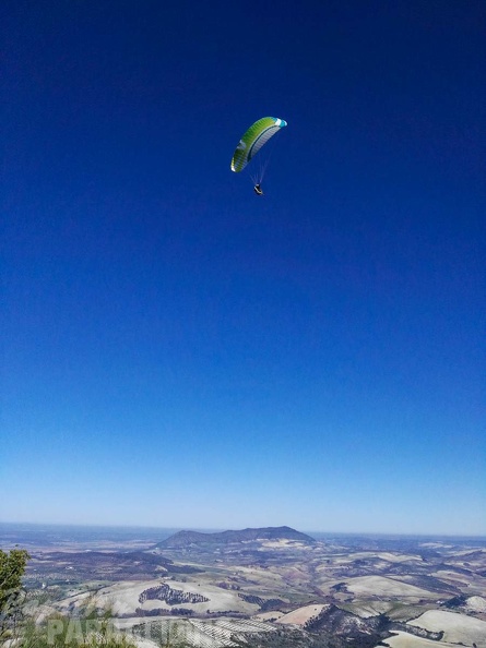 FA101.17 Algodonales-Paragliding-426