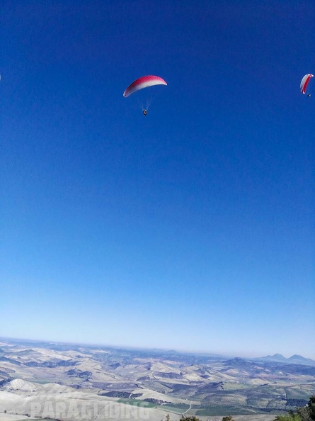 FA101.17_Algodonales-Paragliding-444.jpg