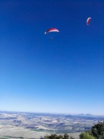 FA101.17 Algodonales-Paragliding-445