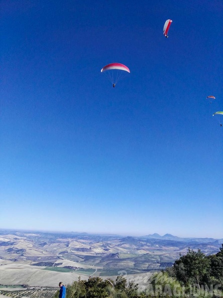 FA101.17 Algodonales-Paragliding-446