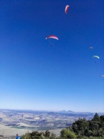 FA101.17 Algodonales-Paragliding-447