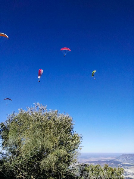 FA101.17 Algodonales-Paragliding-453