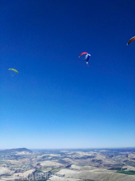FA101.17_Algodonales-Paragliding-457.jpg