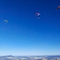 FA101.17 Algodonales-Paragliding-457