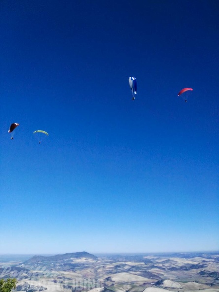 FA101.17 Algodonales-Paragliding-459