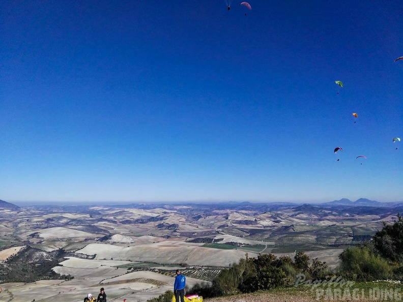 FA101.17 Algodonales-Paragliding-460