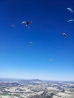 FA101.17 Algodonales-Paragliding-464