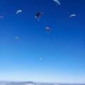 FA101.17 Algodonales-Paragliding-466