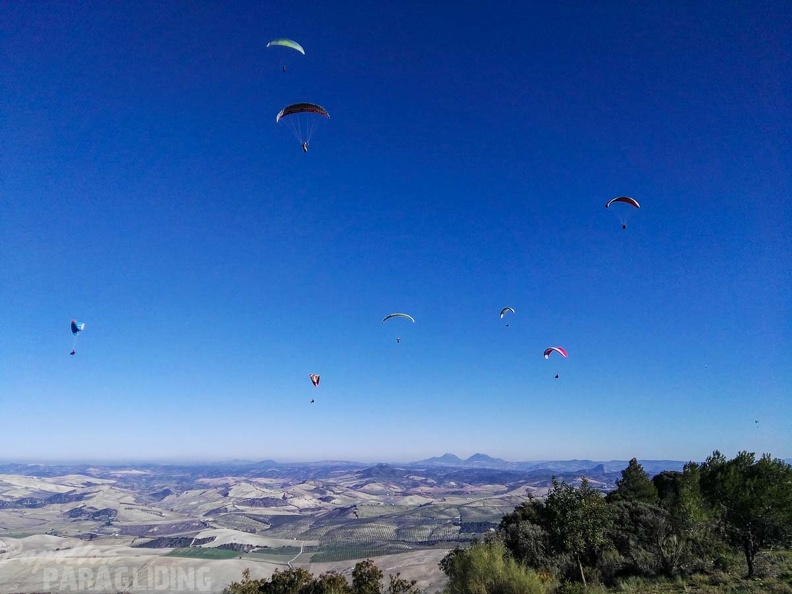 FA101.17 Algodonales-Paragliding-468