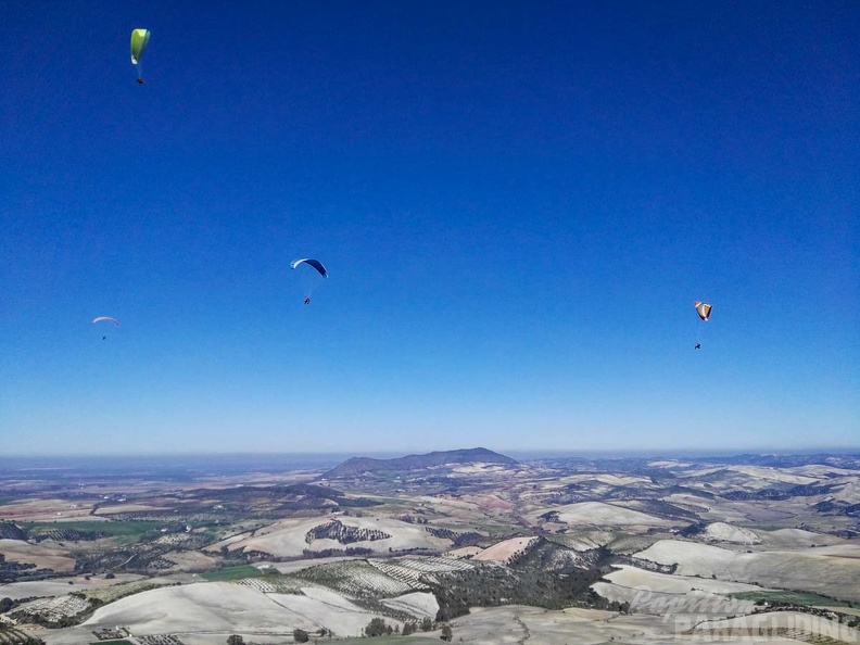 FA101.17 Algodonales-Paragliding-469