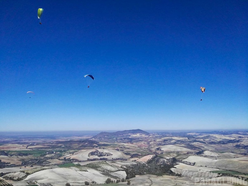 FA101.17 Algodonales-Paragliding-469