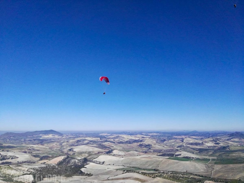 FA101.17 Algodonales-Paragliding-471