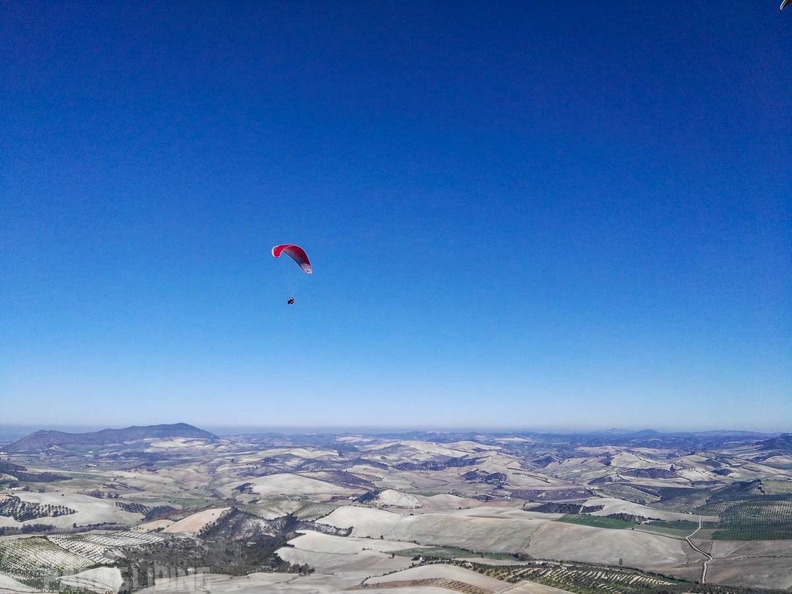 FA101.17 Algodonales-Paragliding-472