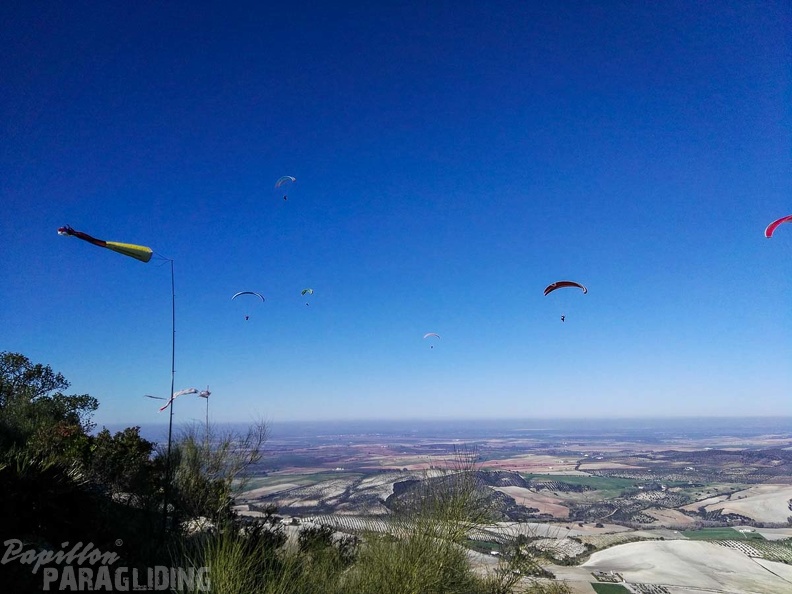 FA101.17 Algodonales-Paragliding-473