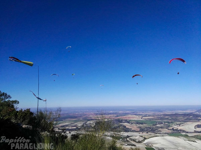 FA101.17_Algodonales-Paragliding-474.jpg