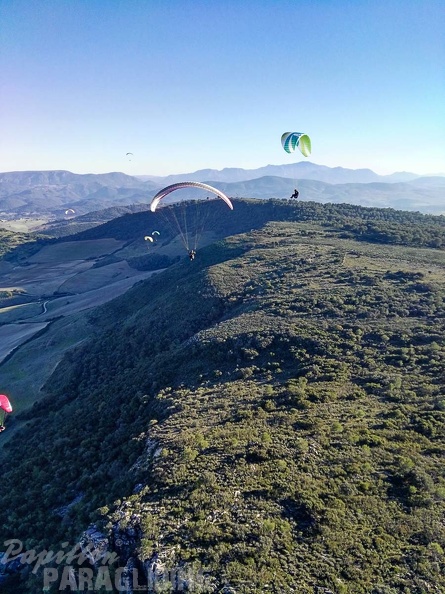 FA101.17 Algodonales-Paragliding-490