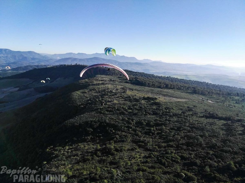 FA101.17 Algodonales-Paragliding-491