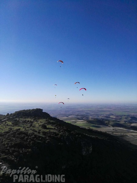 FA101.17 Algodonales-Paragliding-497