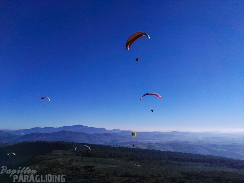 FA101.17 Algodonales-Paragliding-515