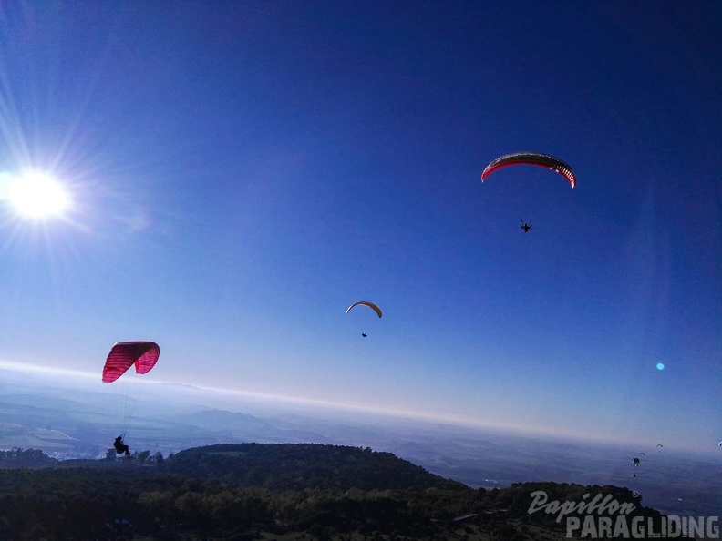 FA101.17 Algodonales-Paragliding-521