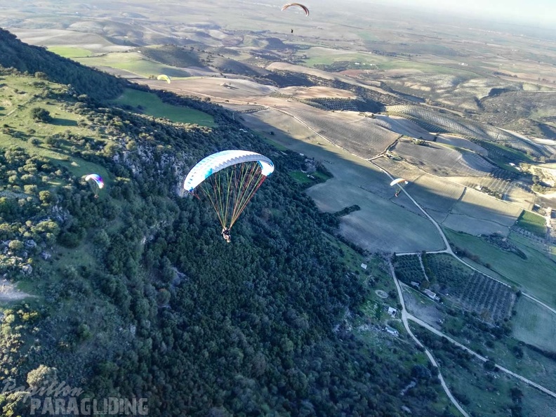FA101.17 Algodonales-Paragliding-569