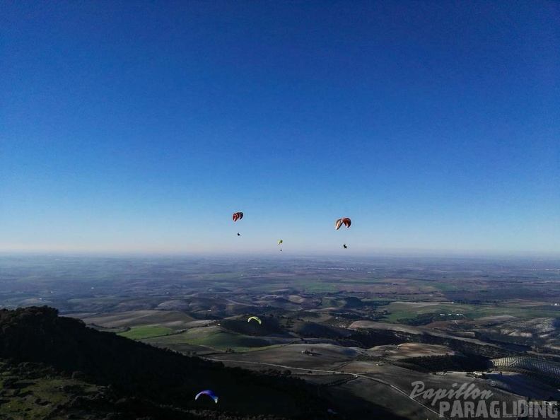 FA101.17 Algodonales-Paragliding-574