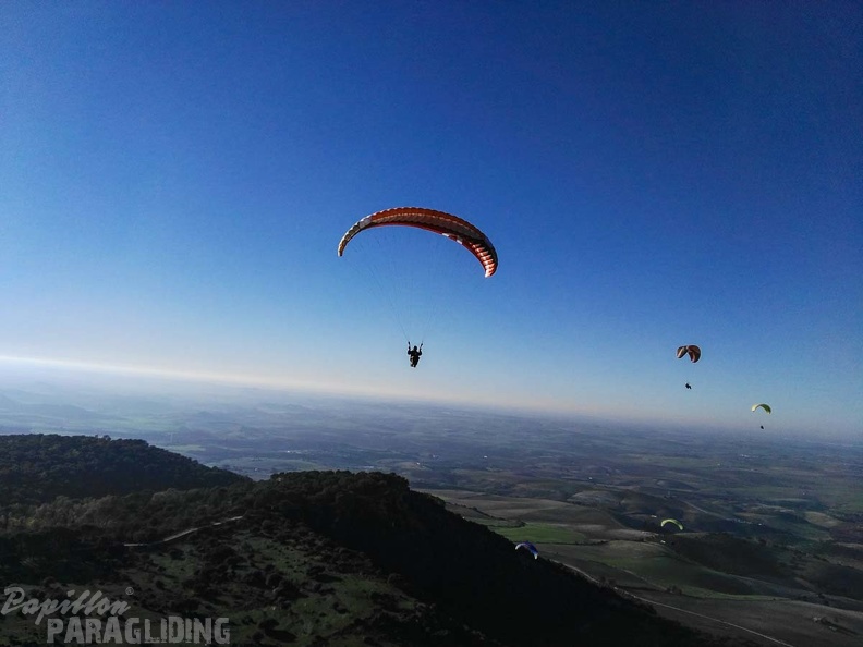 FA101.17 Algodonales-Paragliding-577