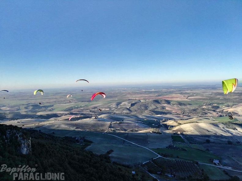 FA101.17 Algodonales-Paragliding-615