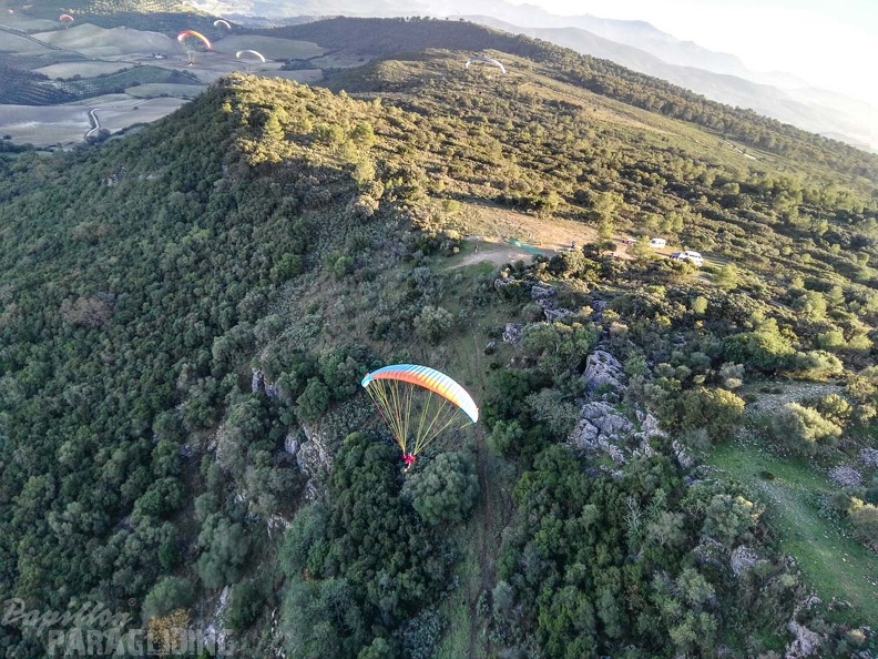 FA101.17_Algodonales-Paragliding-624.jpg