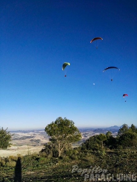 FA101.17 Algodonales-Paragliding-625