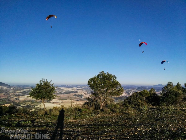 FA101.17 Algodonales-Paragliding-628