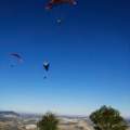 FA101.17 Algodonales-Paragliding-632