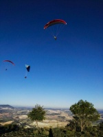 FA101.17 Algodonales-Paragliding-633