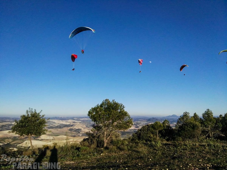 FA101.17 Algodonales-Paragliding-644