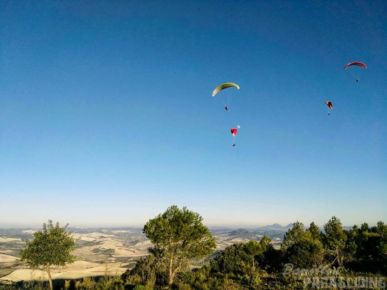 FA101.17 Algodonales-Paragliding-657