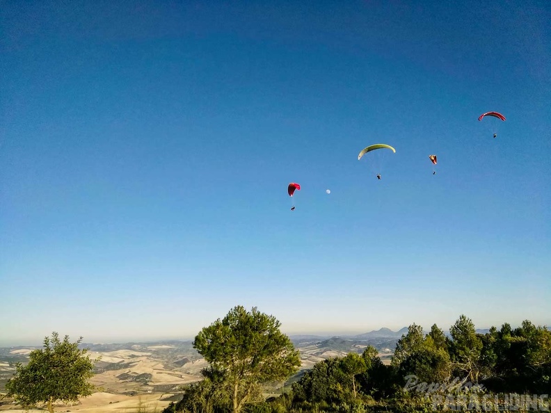 FA101.17_Algodonales-Paragliding-659.jpg