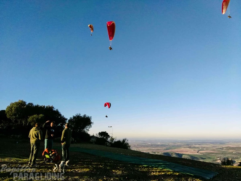 FA101.17 Algodonales-Paragliding-665