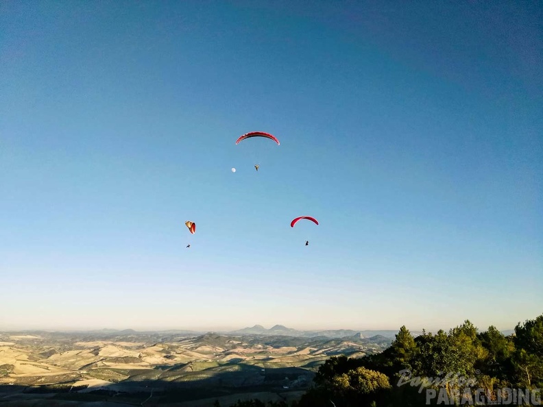 FA101.17 Algodonales-Paragliding-679