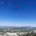 FA14.17 Algodonales-Paragliding-101