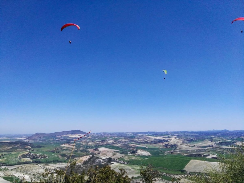 FA14.17 Algodonales-Paragliding-104