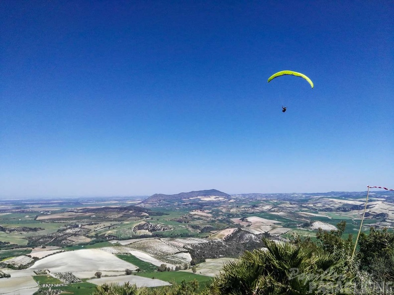 FA14.17 Algodonales-Paragliding-116