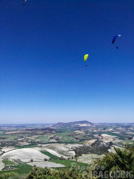 FA14.17 Algodonales-Paragliding-117