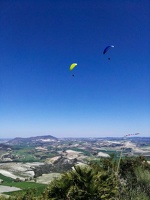 FA14.17 Algodonales-Paragliding-118