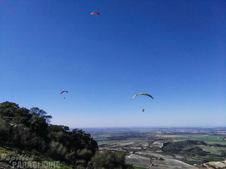 FA14.17 Algodonales-Paragliding-138