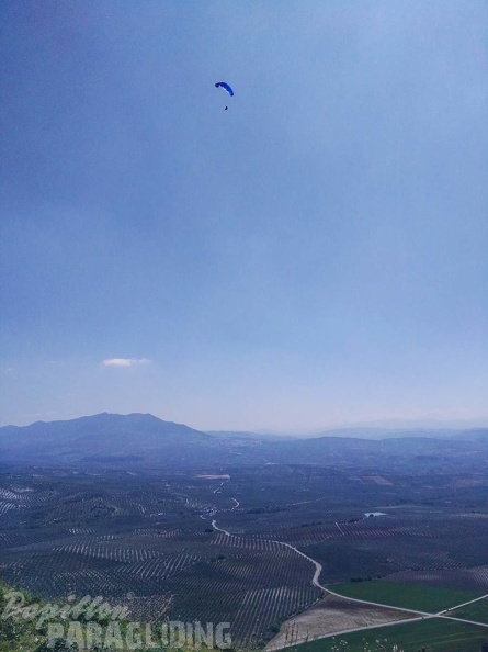 FA14.17 Algodonales-Paragliding-176