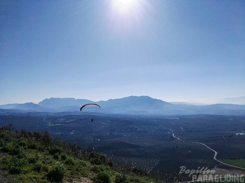 FA14.17 Algodonales-Paragliding-229