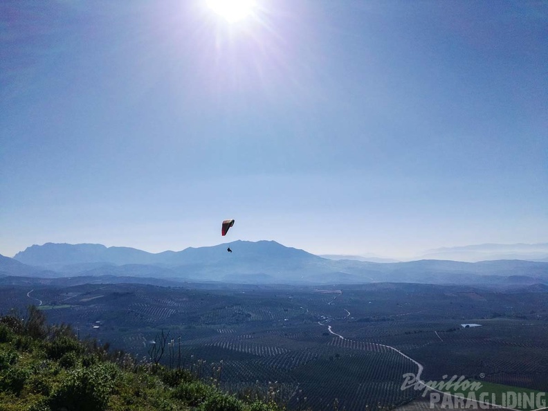 FA14.17 Algodonales-Paragliding-233